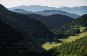 木々や山々を背景にした渓谷