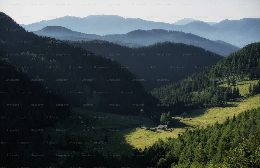 um vale com árvores e montanhas ao fundo