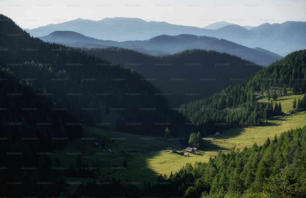 Una valle con alberi e montagne sullo sfondo