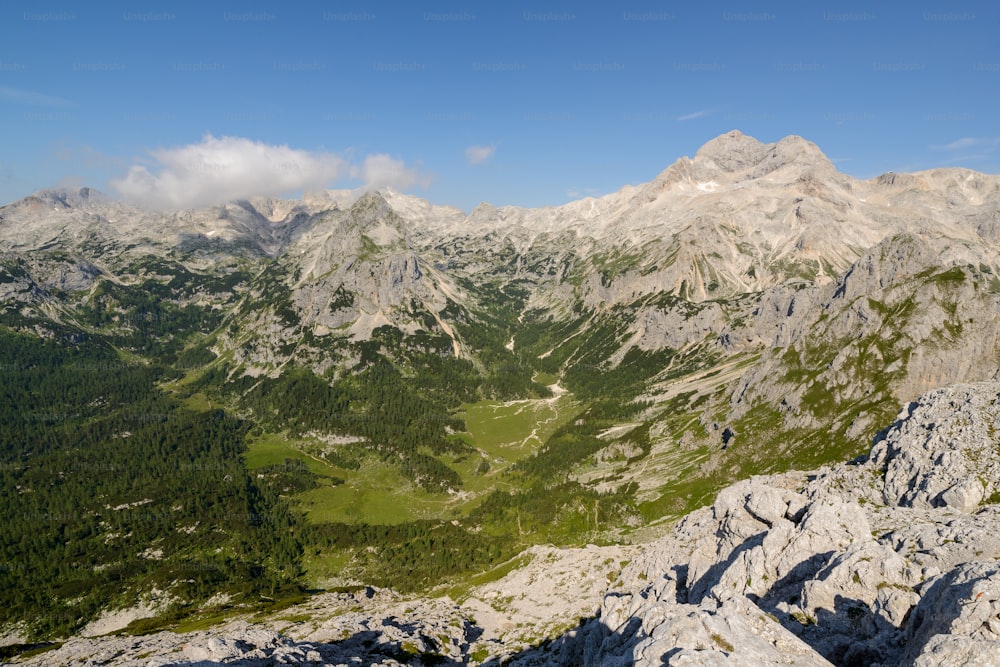 a rocky mountain with trees