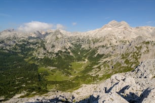 a rocky mountain with trees