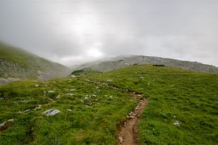 Ein grasbewachsener Hügel mit einem Feldweg