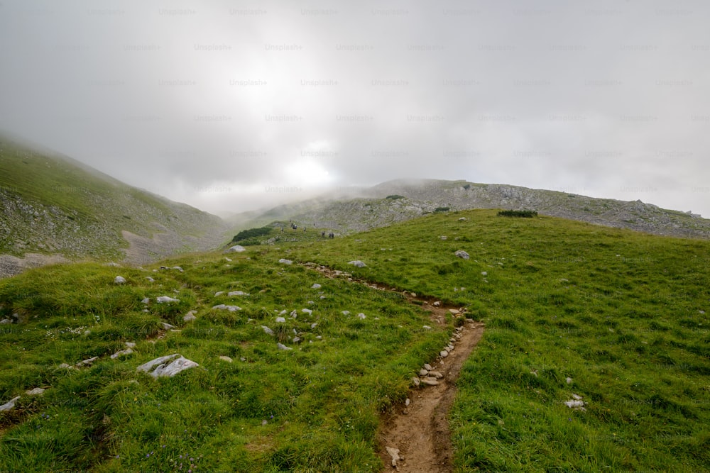 a grassy hill with a dirt road