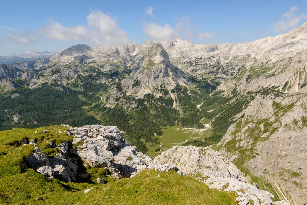 a rocky mountain with grass and trees