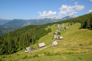 a group of houses on a grassy hill with trees and mountains in the background