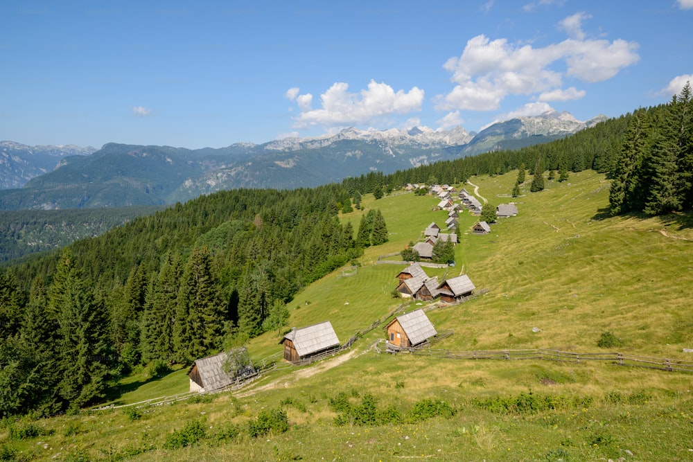 Un grupo de casas en una colina cubierta de hierba con árboles y montañas al fondo