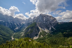 a mountain range with trees