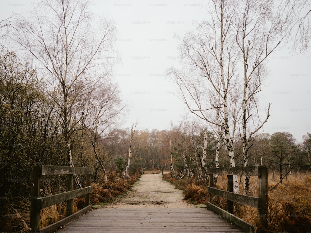 a wooden bridge with trees on either side of it