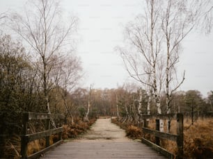 a wooden bridge with trees on either side of it