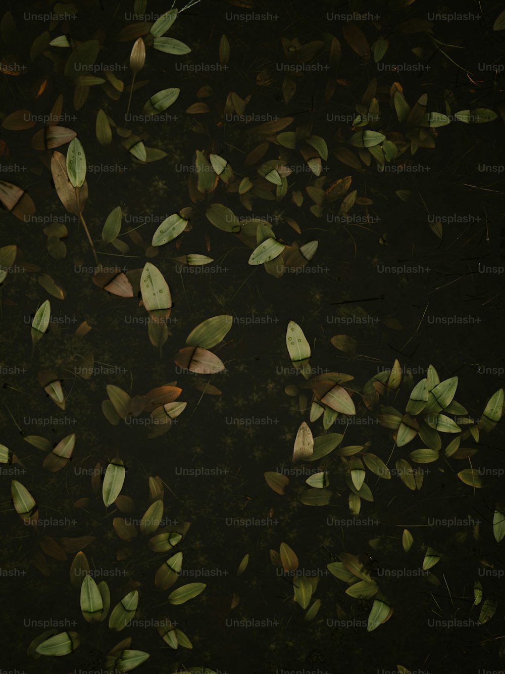 background pattern