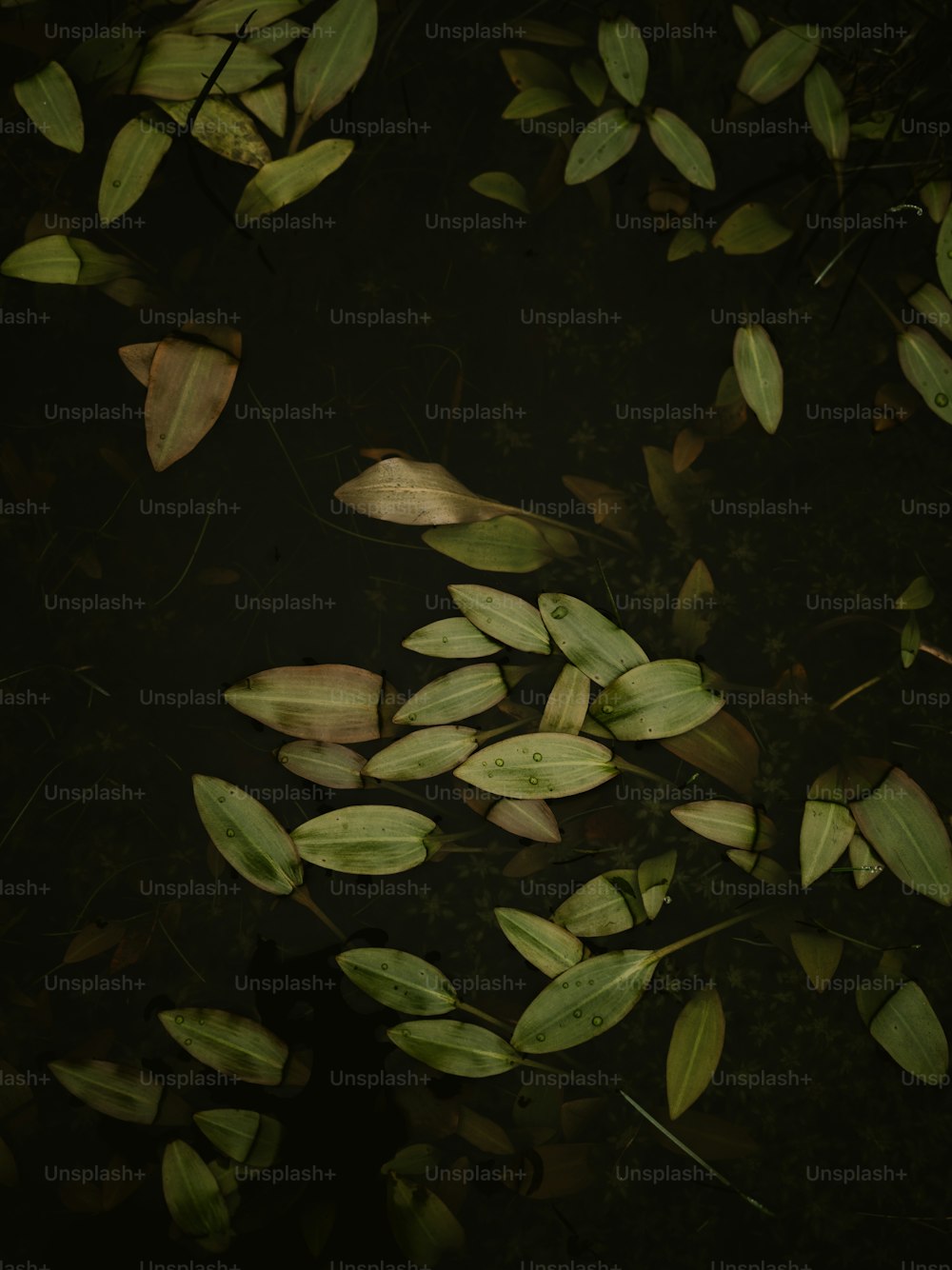 background pattern