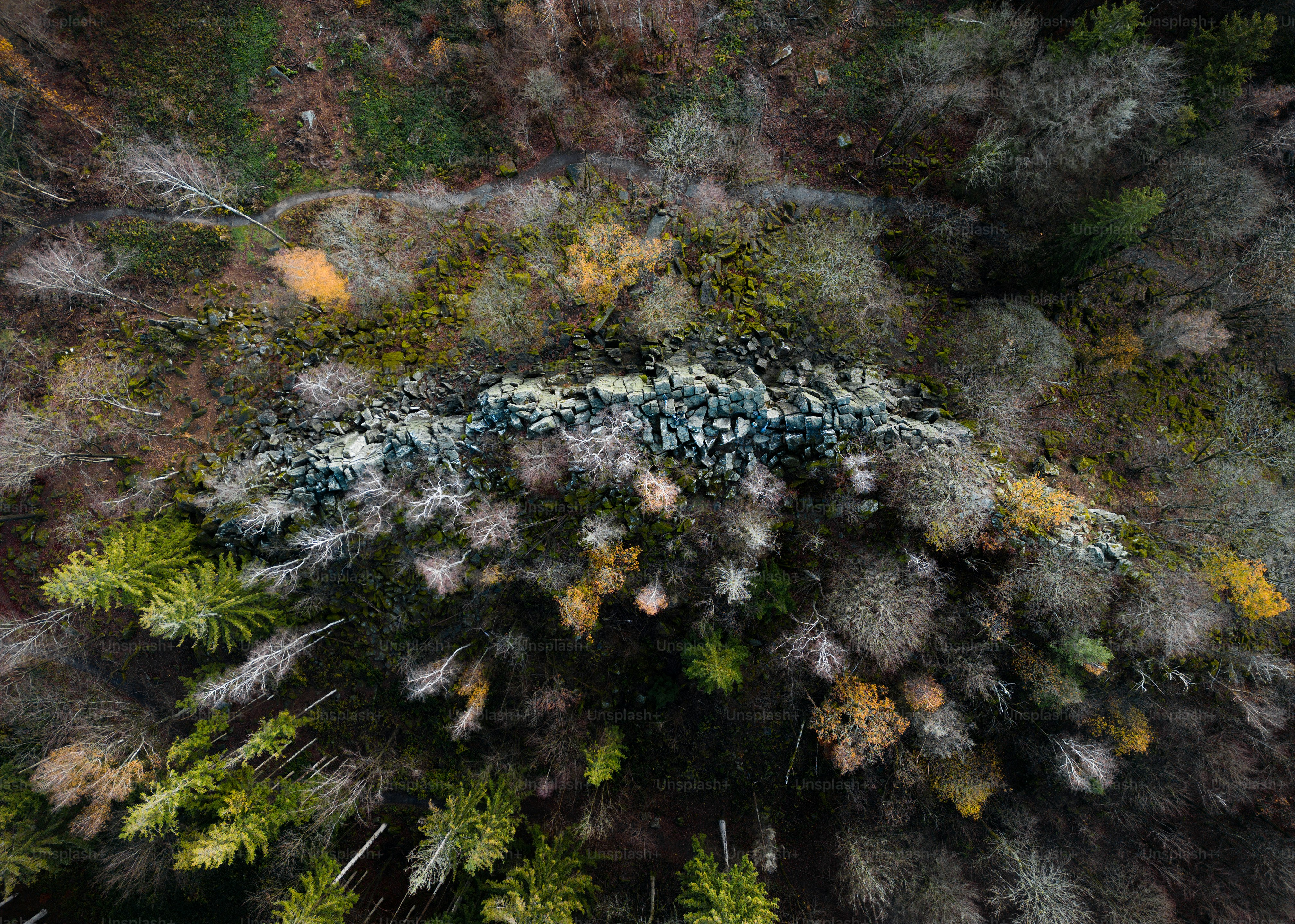 Nahaufnahme eines Felsens