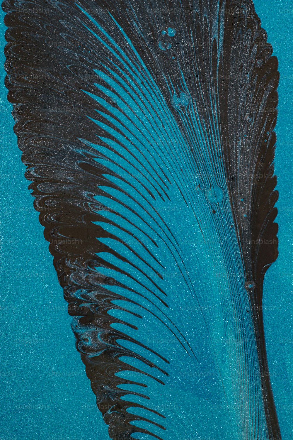 Un primer plano de una pluma azul