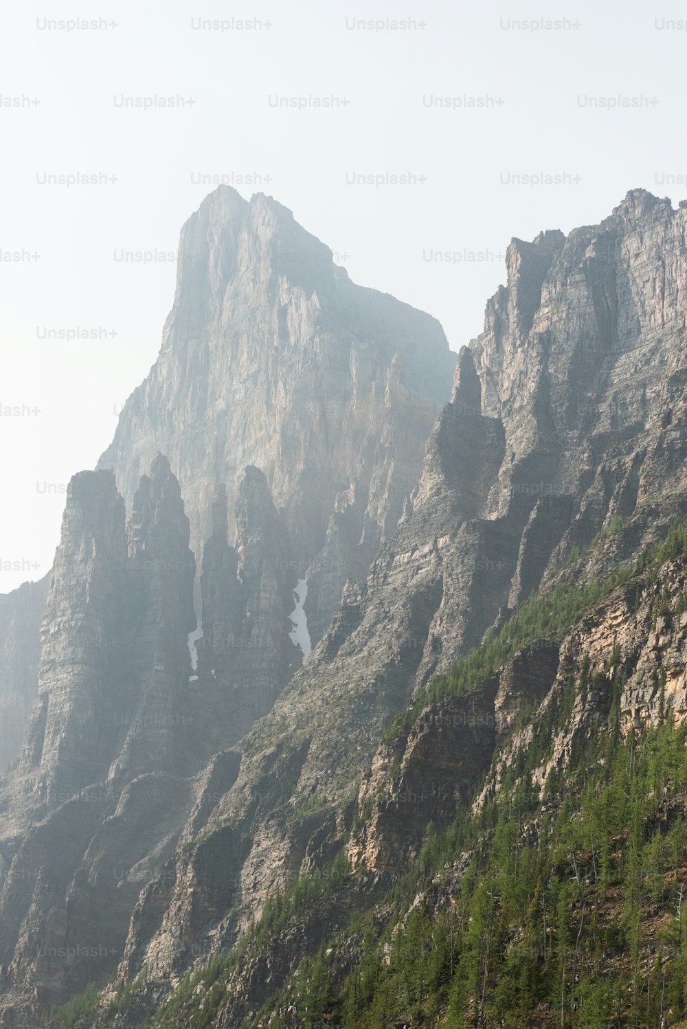 a mountain with trees on it