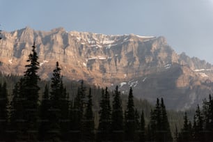 a snowy mountain with trees