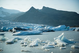 a group of icebergs in a body of water