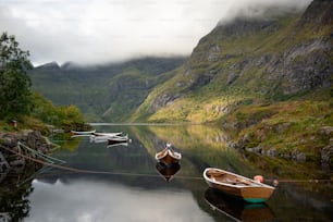 a group of boats sit in a lake