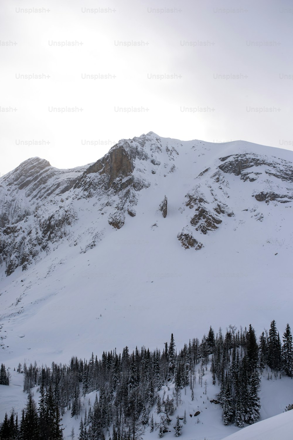 a snowy mountain with trees