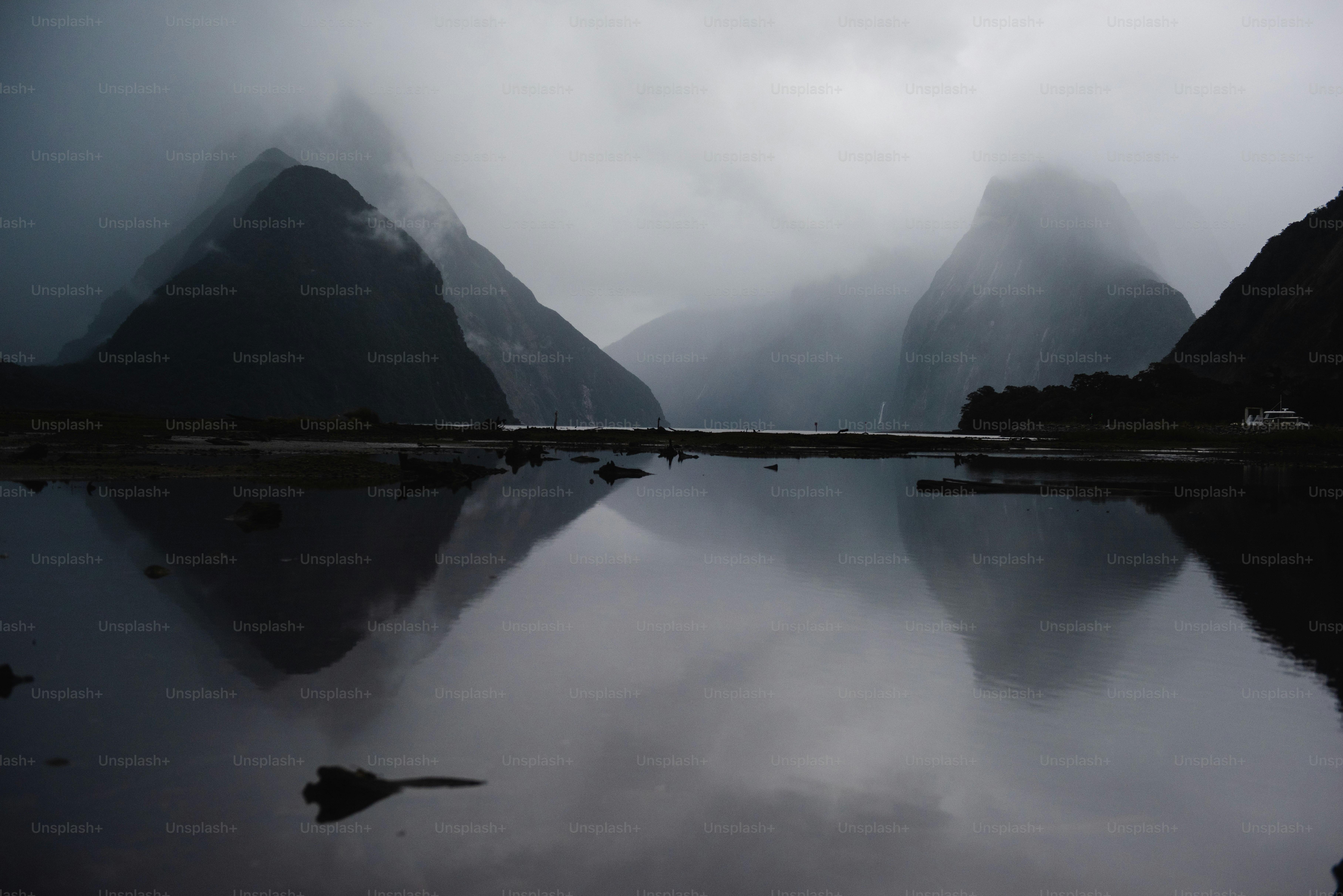 un cuerpo de agua con montañas en el fondo con Milford Sound al fondo