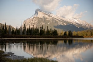 a lake with trees and a mountain in the background