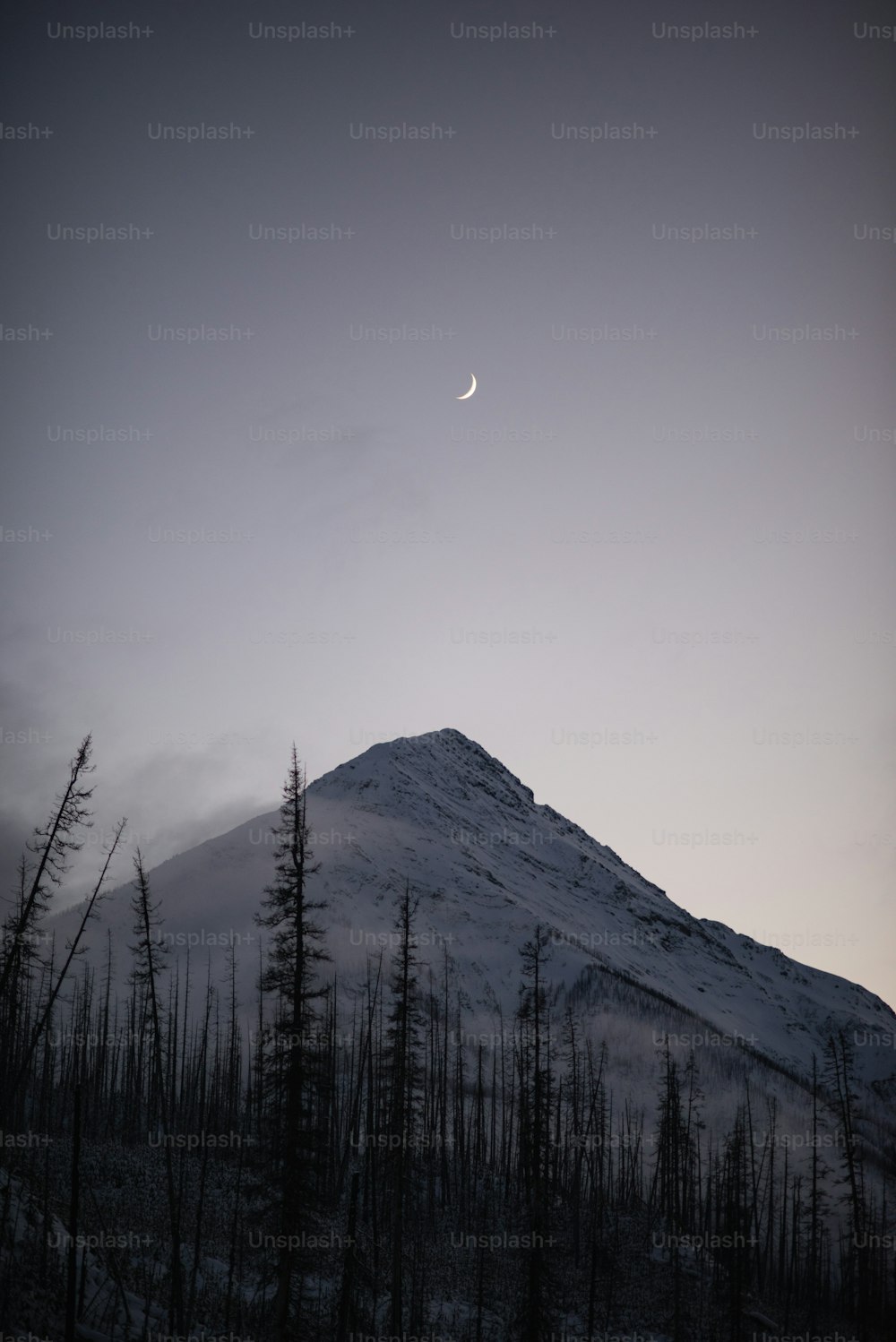 a mountain with trees in front of it