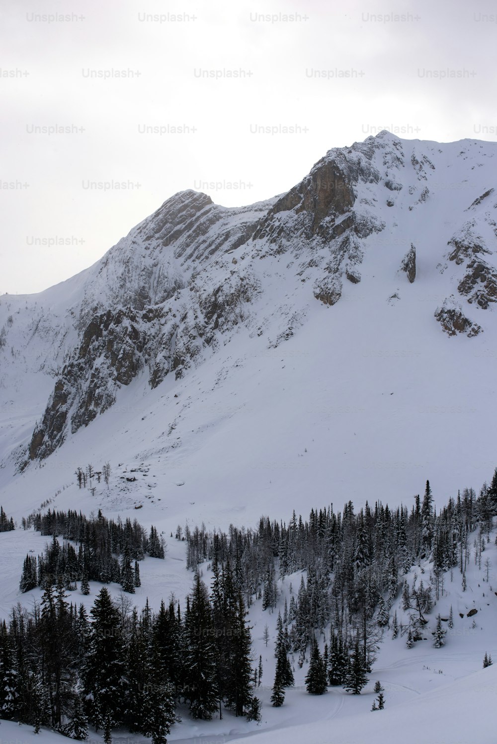 a snowy mountain with trees