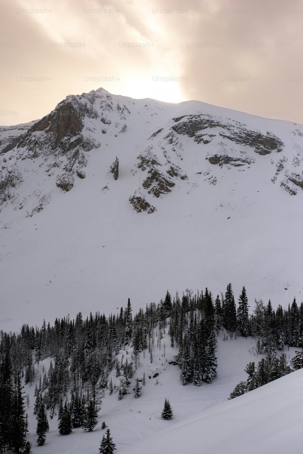 Une montagne enneigée avec des arbres