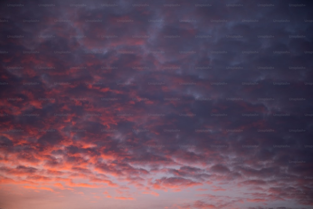 Un cielo rosa y púrpura