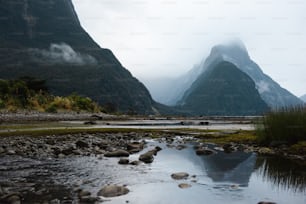 a river with rocks and mountains in the background with Milford Sound in the background