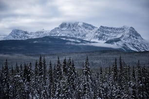 a snowy mountain range