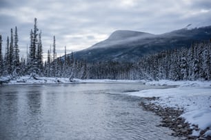 un fiume con neve e alberi