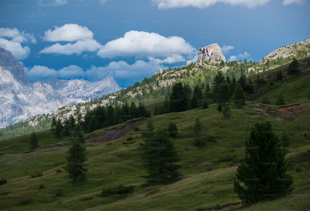 a grassy valley with trees and mountains in the background