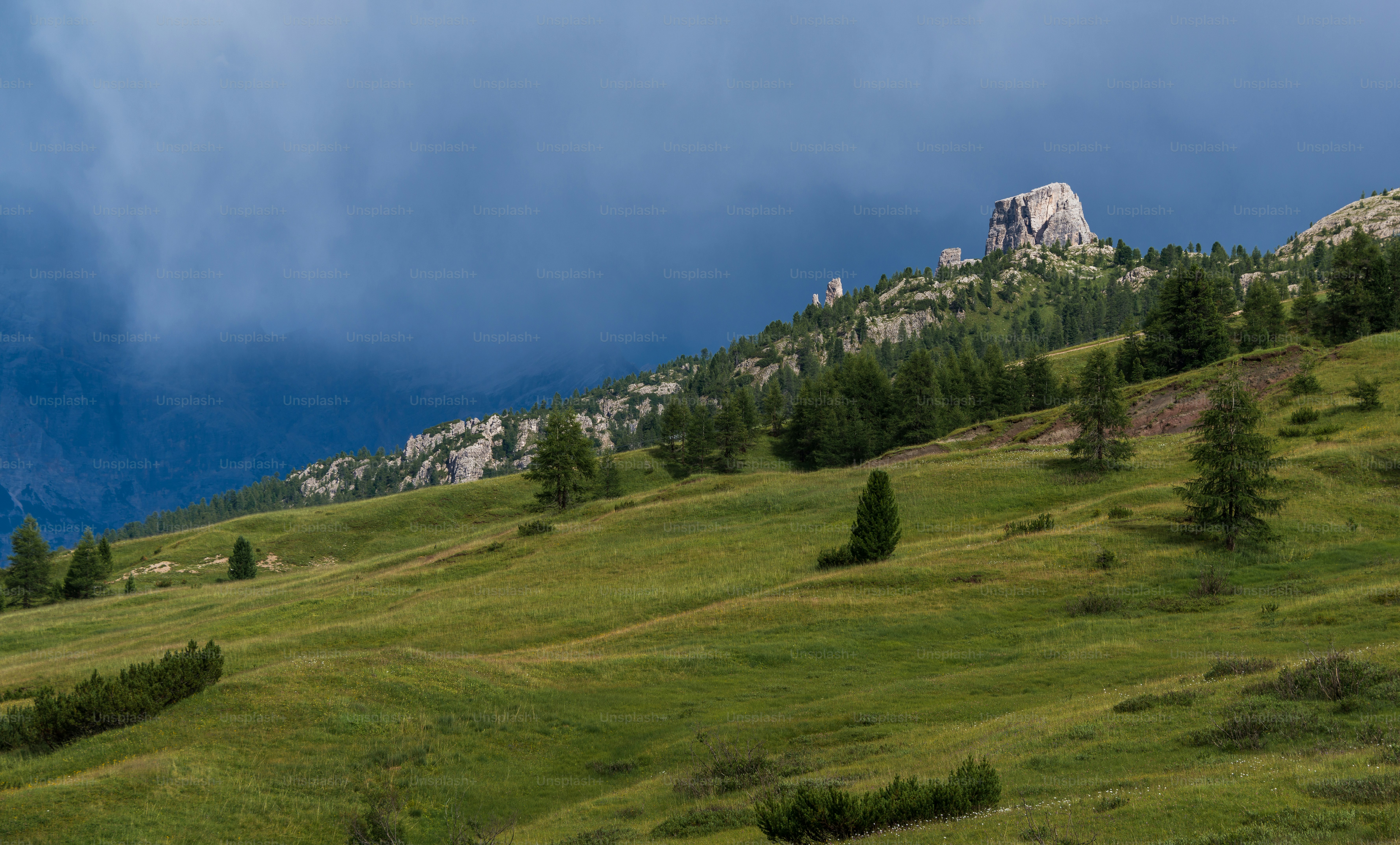 a grassy hill with trees and a mountain in the background