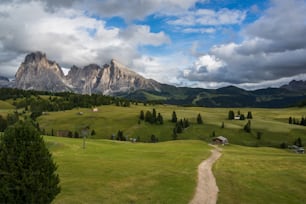 a dirt road in a grassy field with mountains in the background