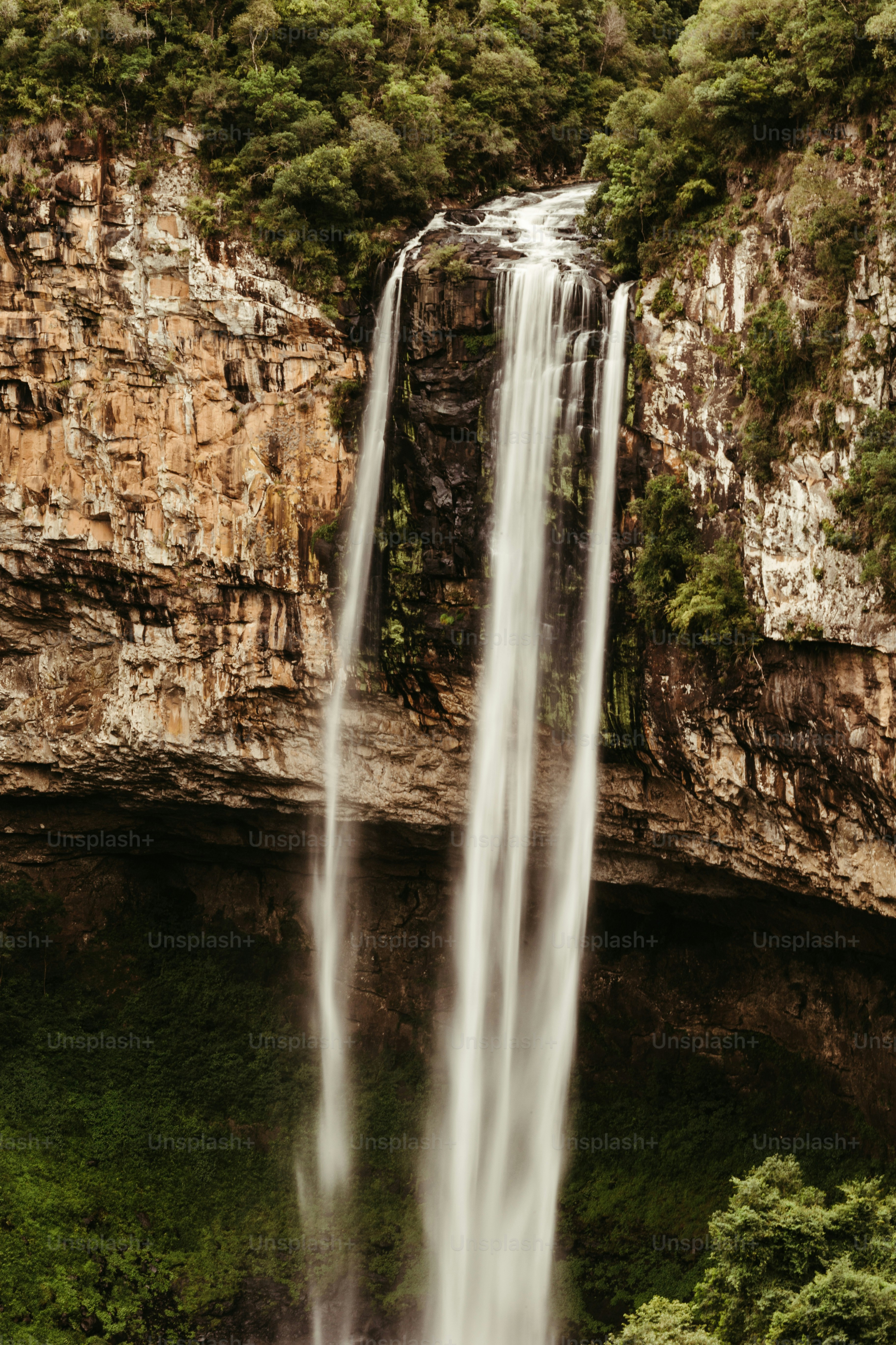 a waterfall in a forest