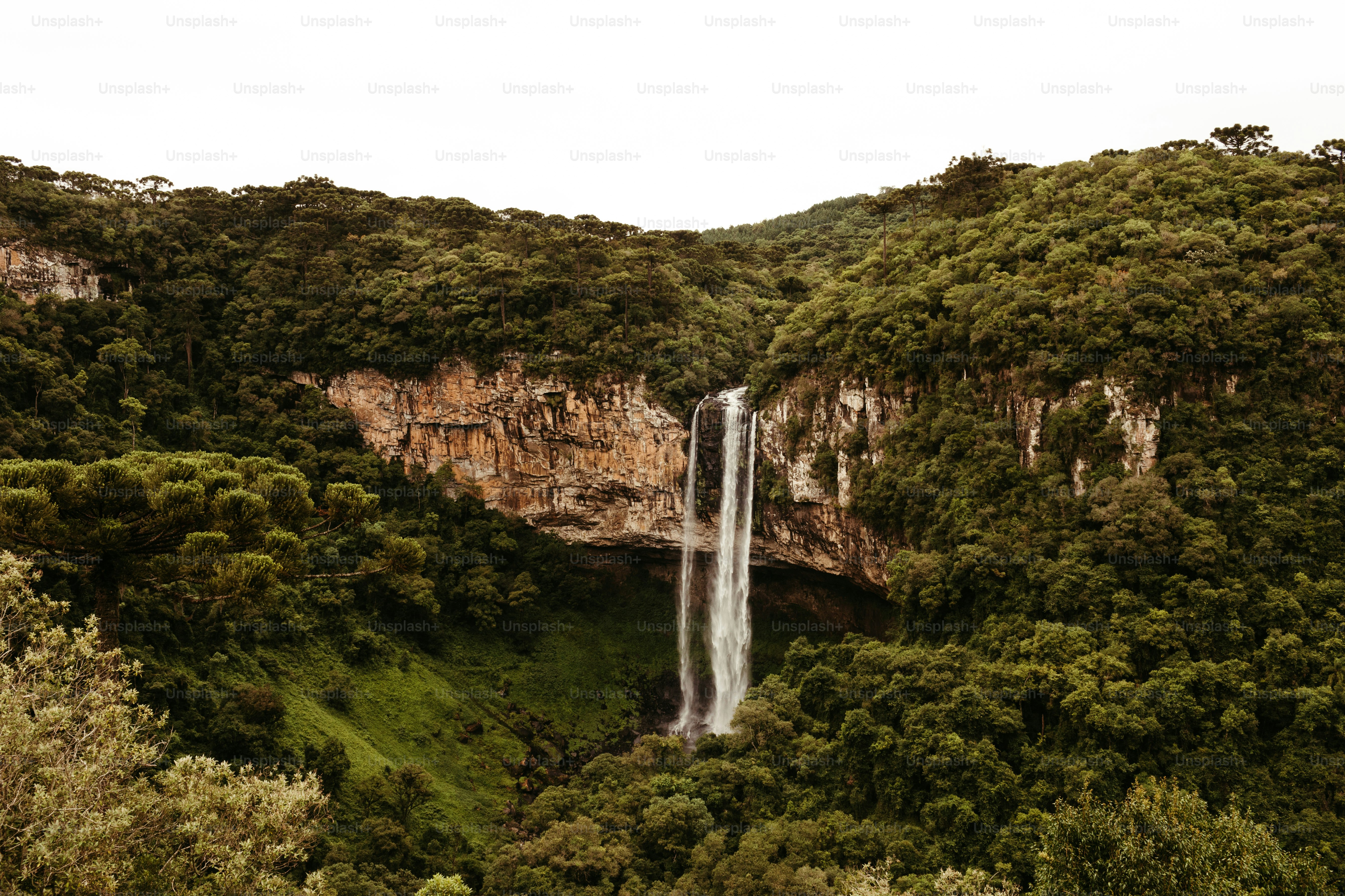 Imágenes de Parque Nacional Garigal Descarga imágenes gratuitas en