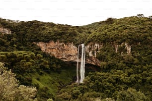 a waterfall in a forest