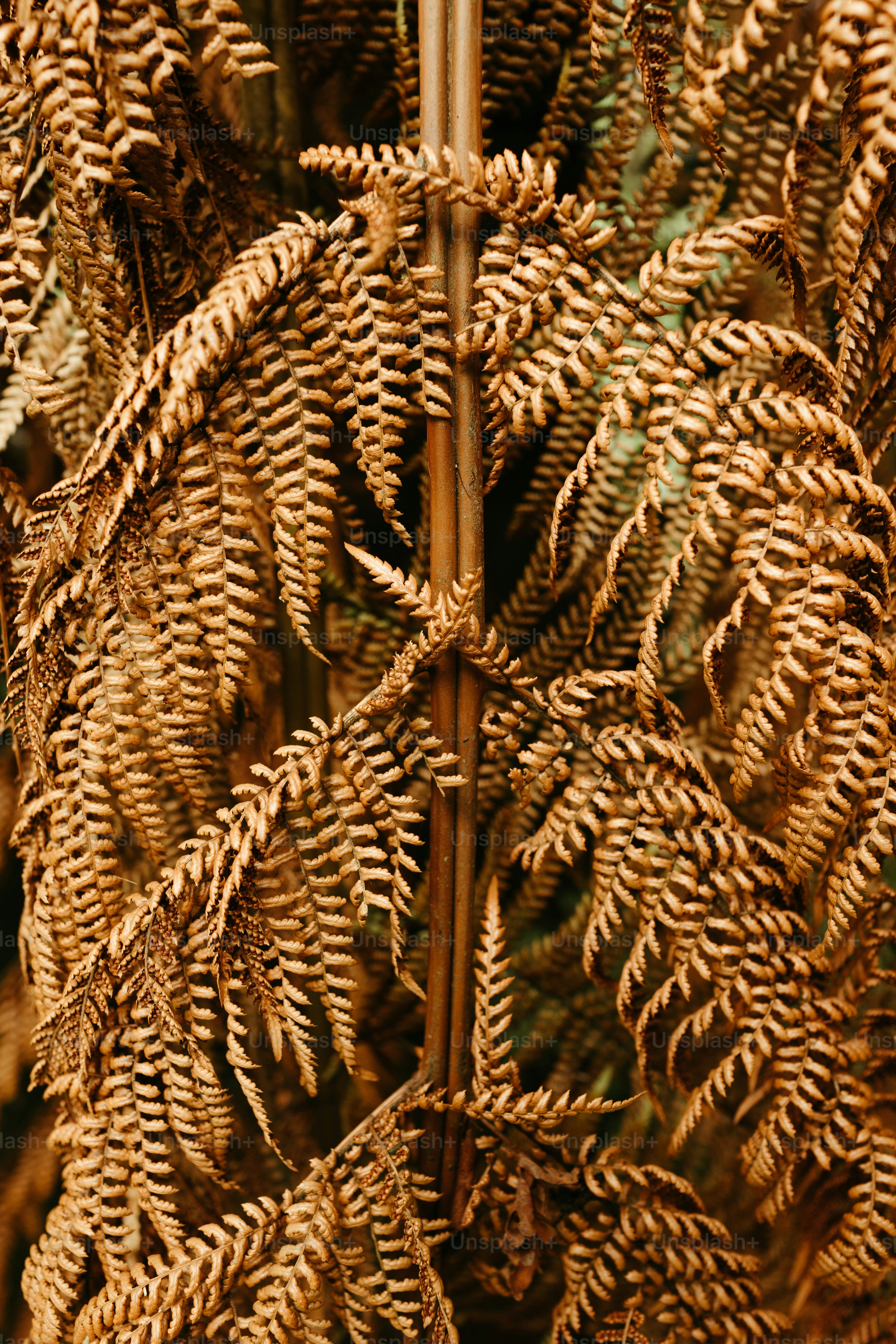 Nahaufnahme eines Seils