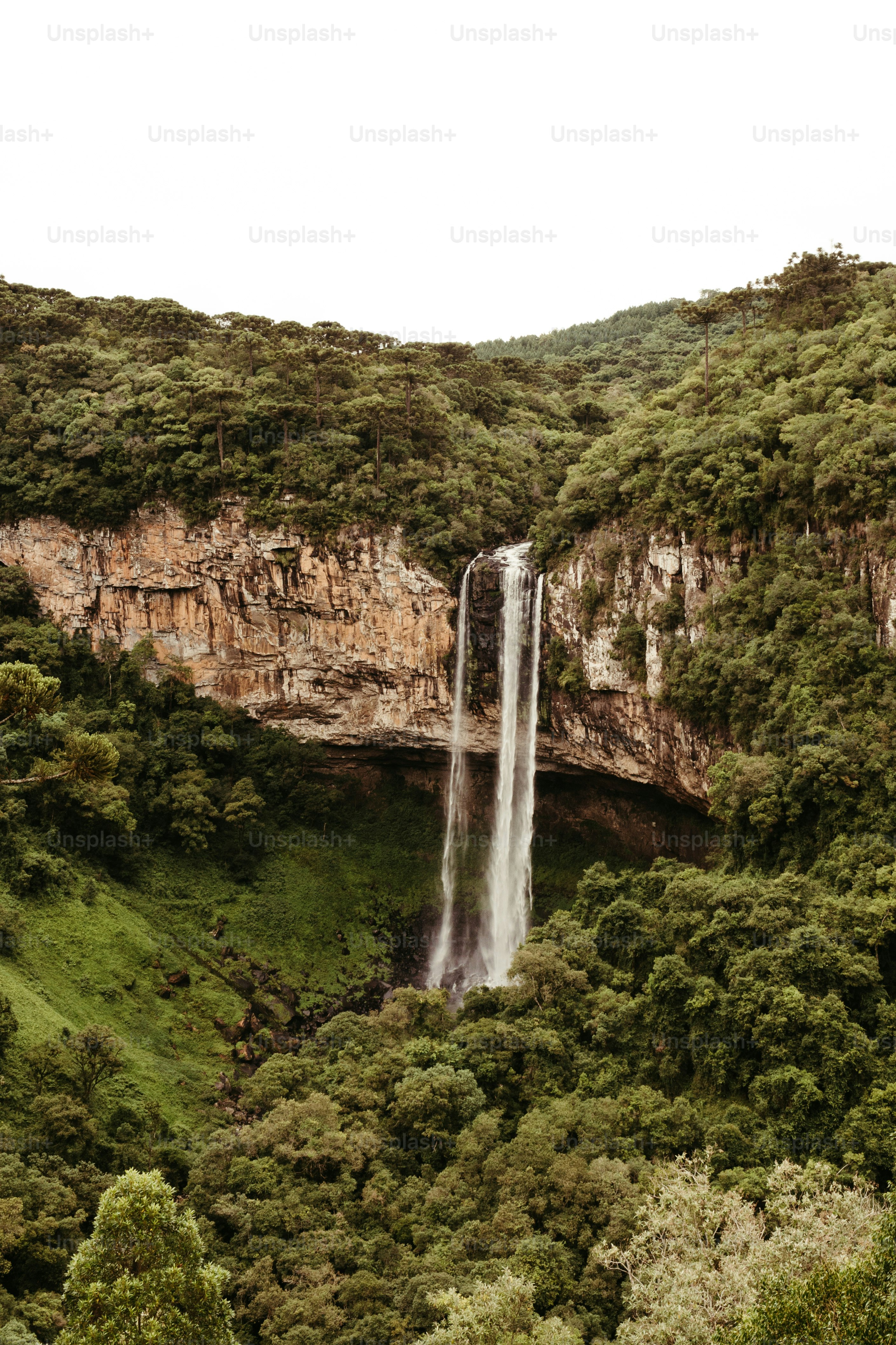 a waterfall in a forest
