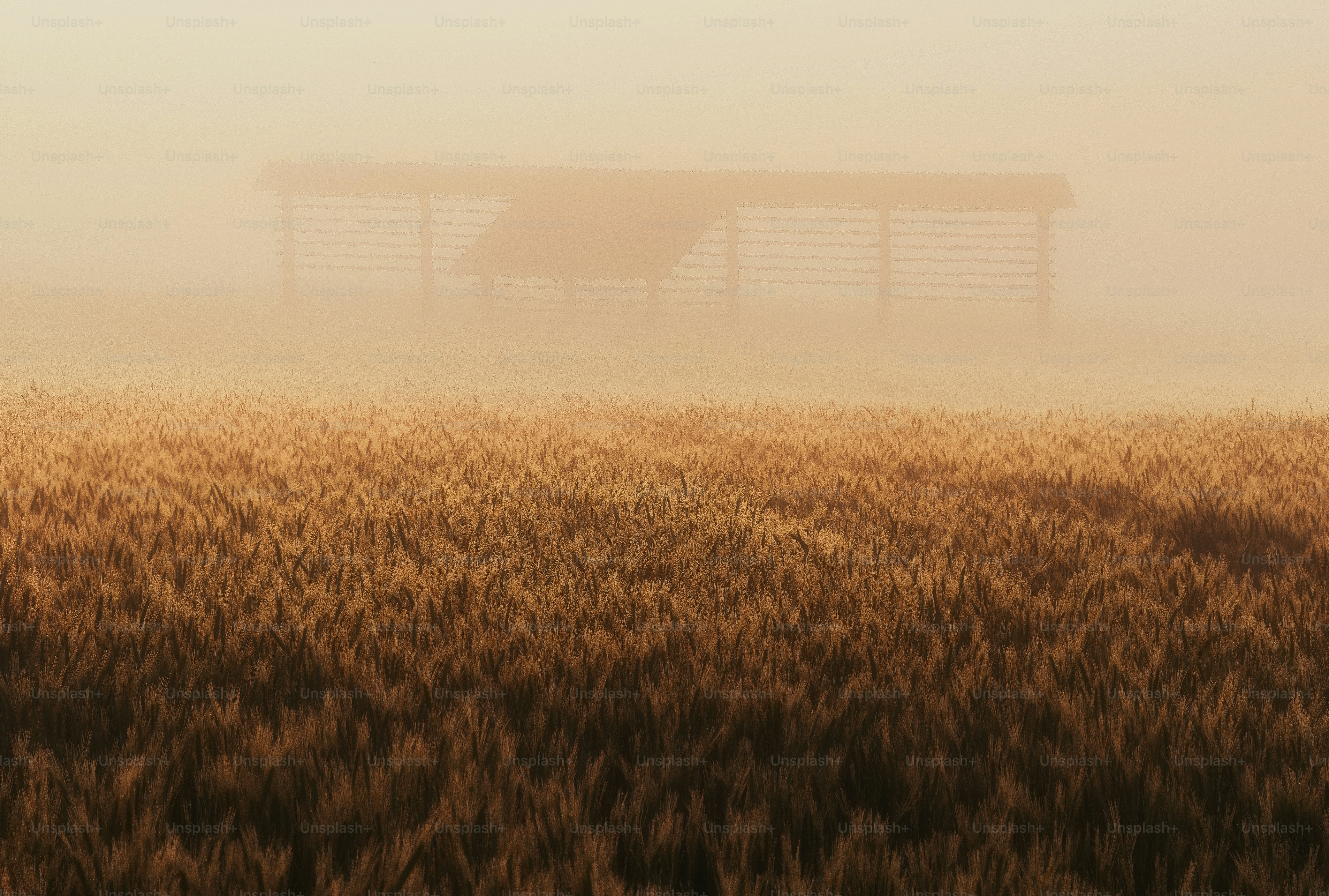 Green double couch with wooden legs
