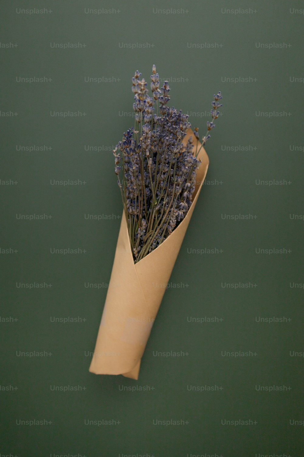 a hand holding a purple flower