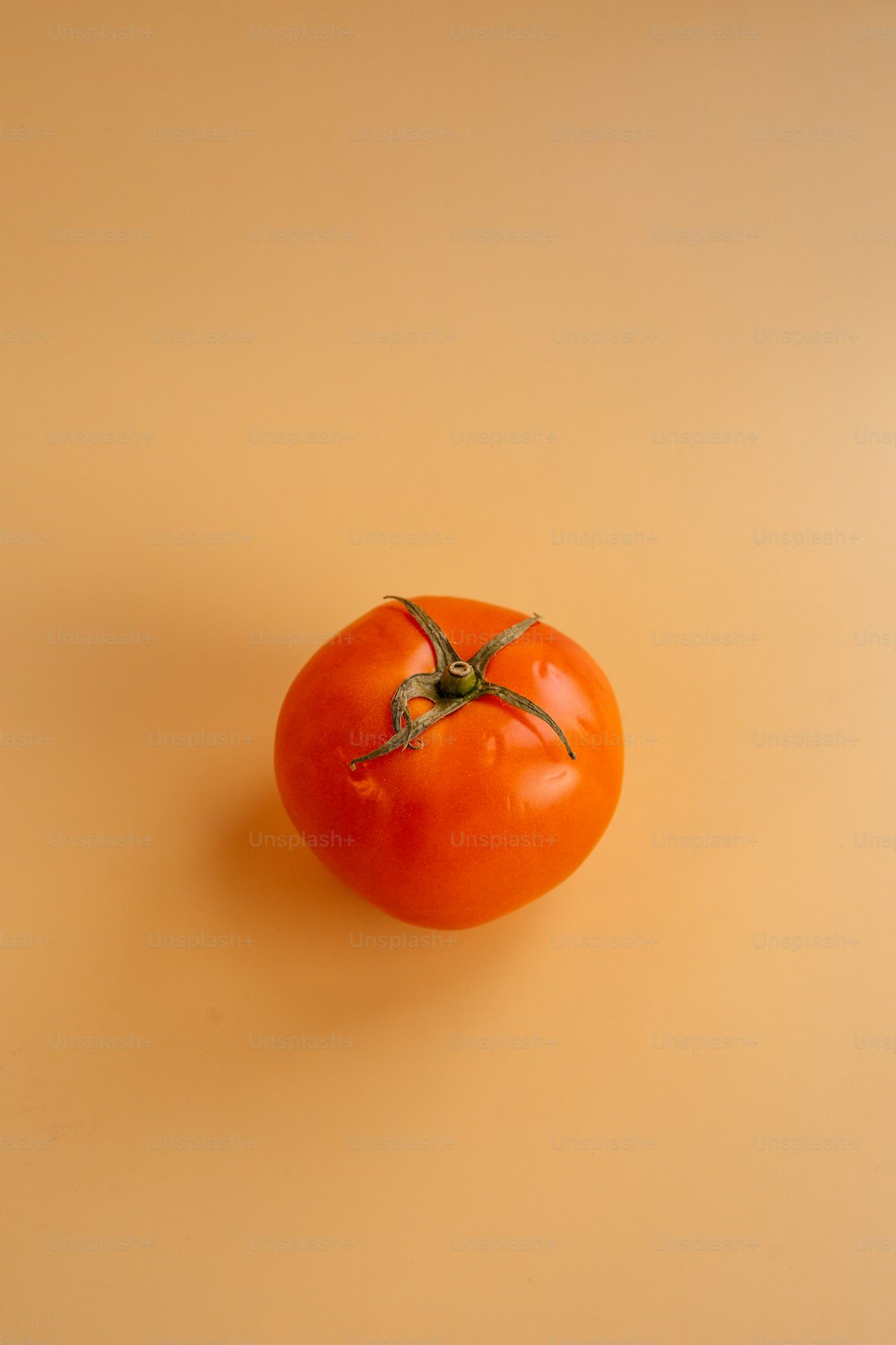 줄기가있는 토마토