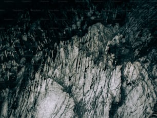 a rocky cliff with green plants