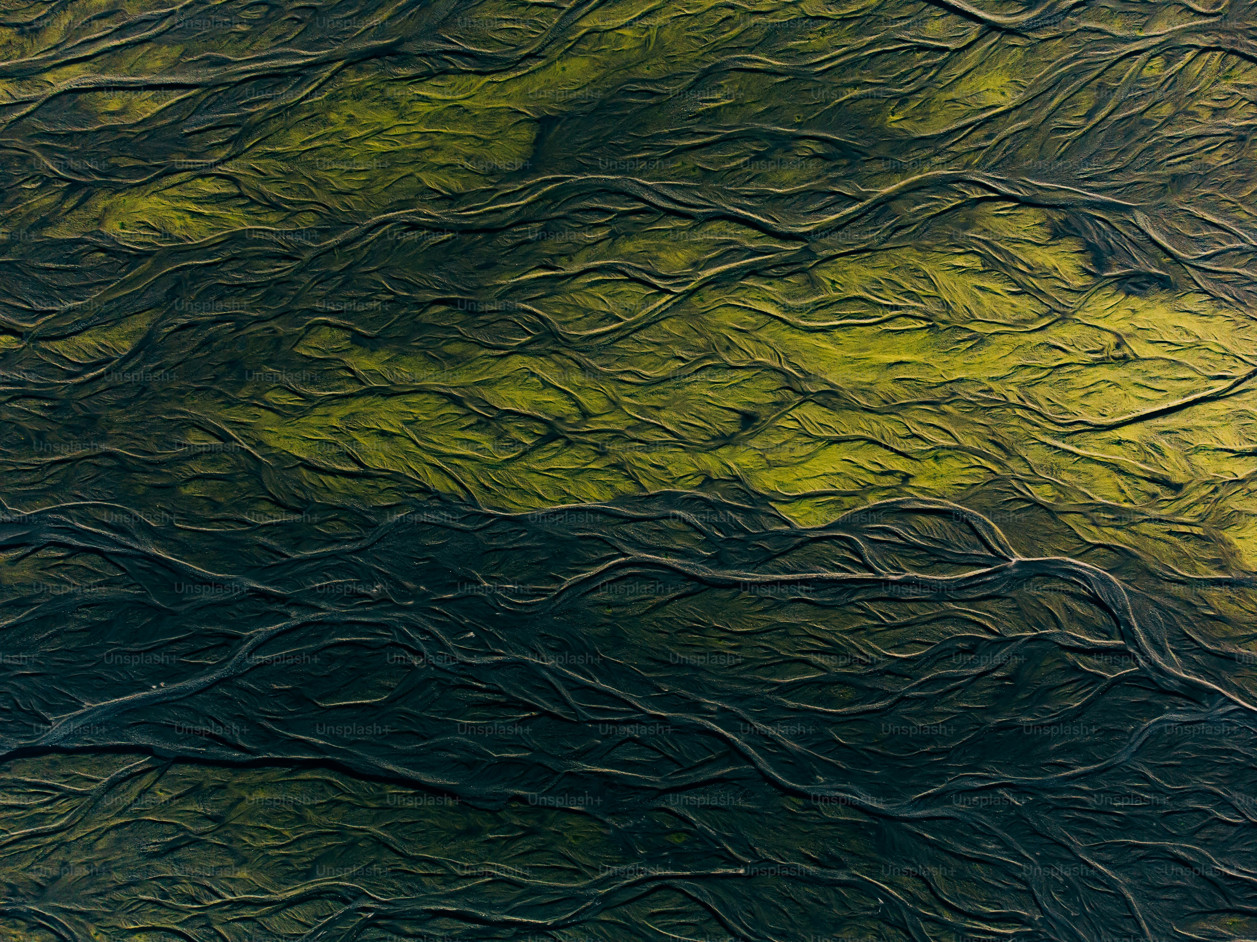 Un plan d’eau avec des vagues