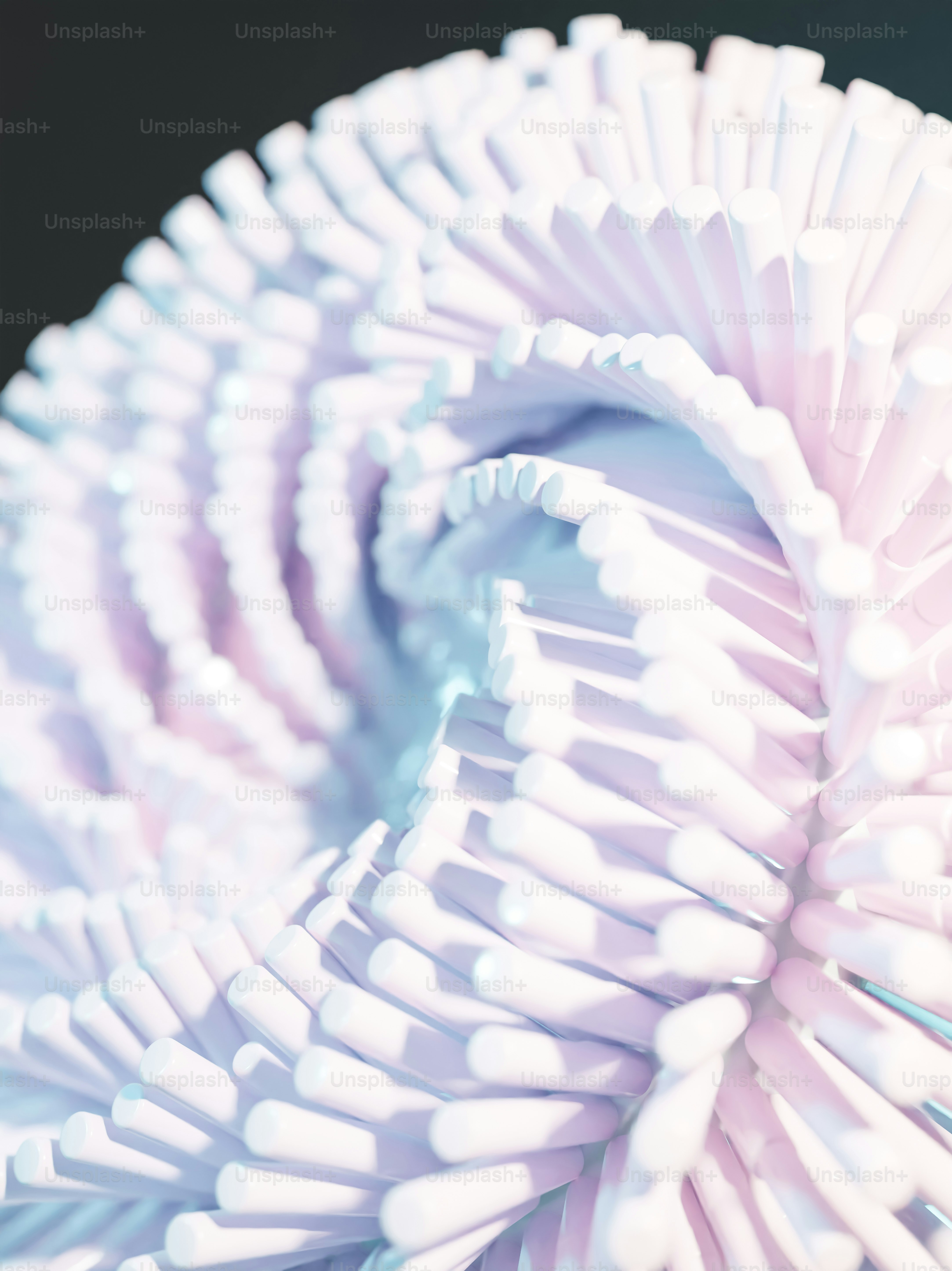 a close up of a flower