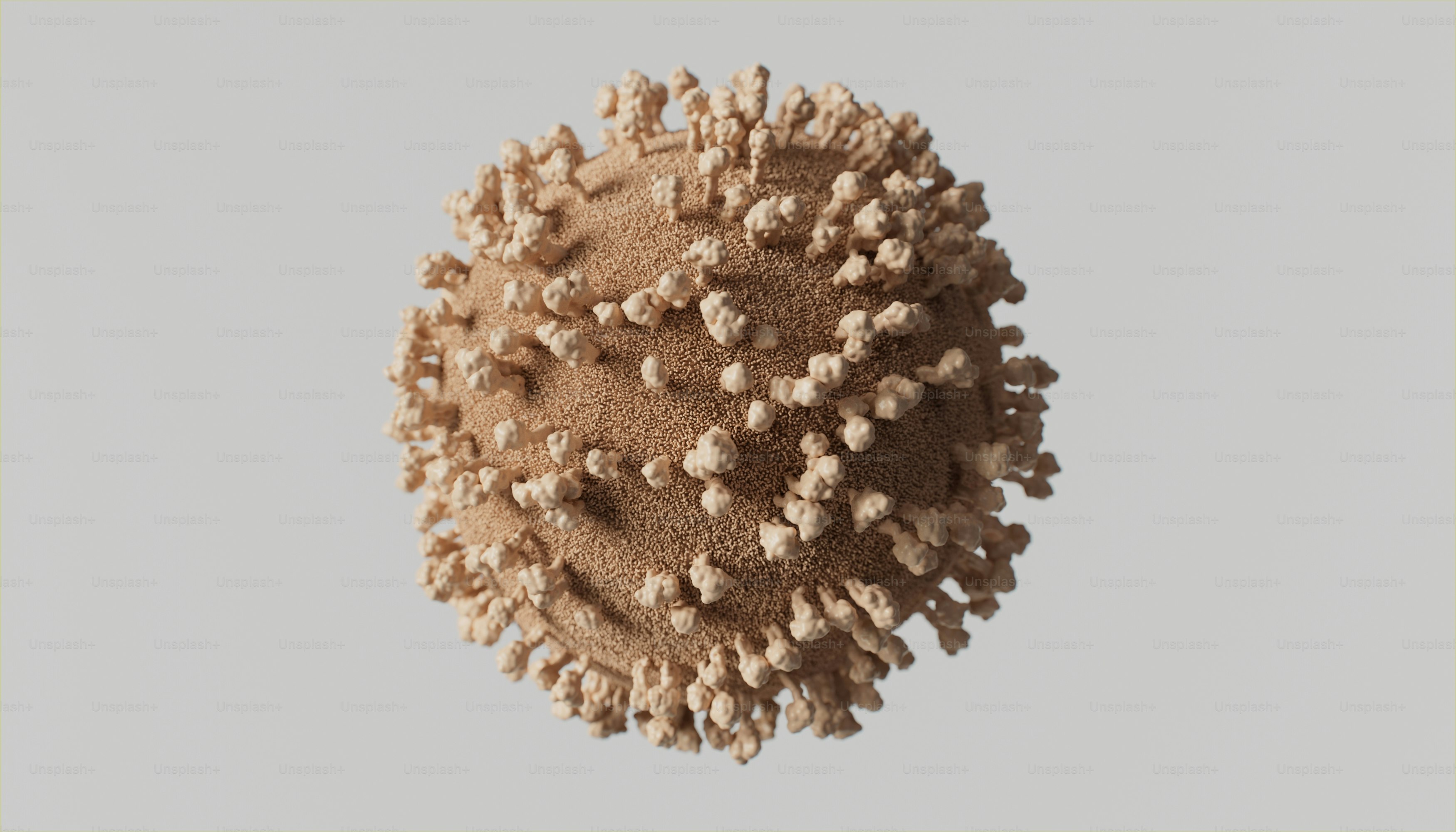 Influenza Virus