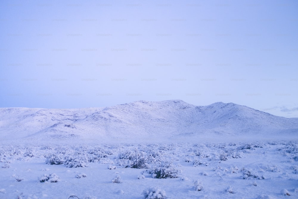 a snowy mountain with a blue sky