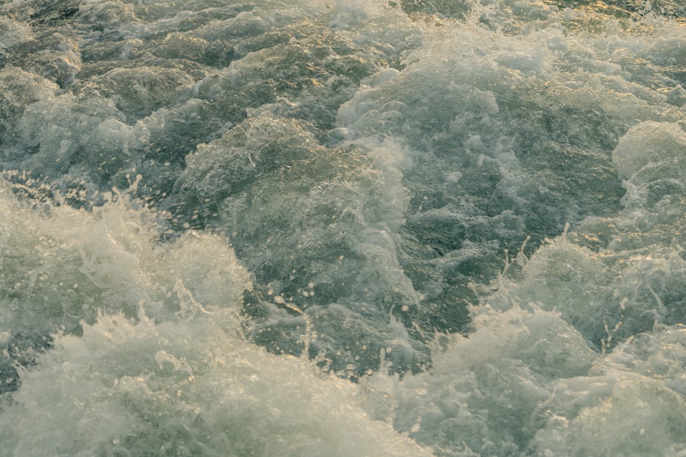 Un primo piano di un fiume