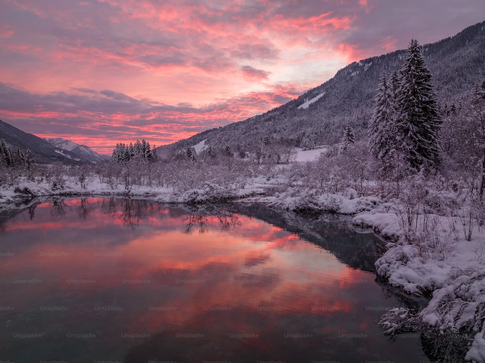 a lake surrounded by snow and trees