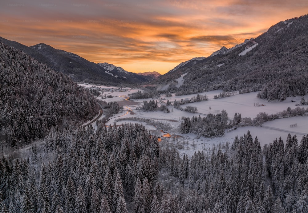 a snowy landscape with trees and mountains